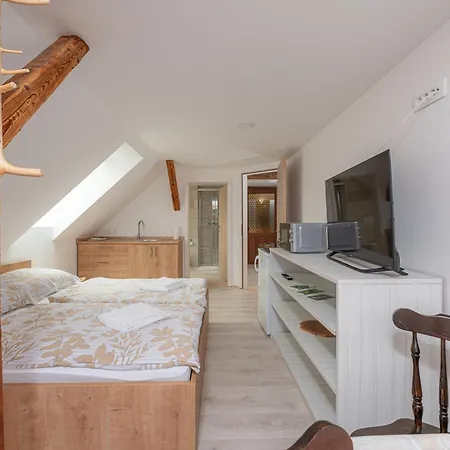 Apartament Zelena Hisa Pri Bjov, Studio 1 Bled