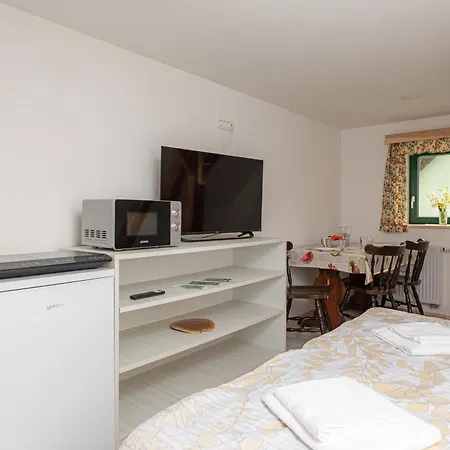Zelena Hisa Pri Bjov, Studio 1 Appartement