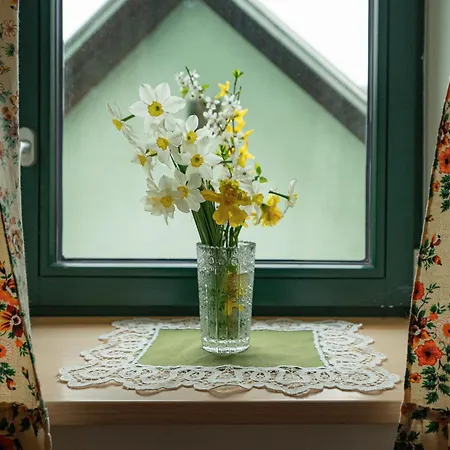 Zelena Hisa Pri Bjov, Studio 1 Appartement *